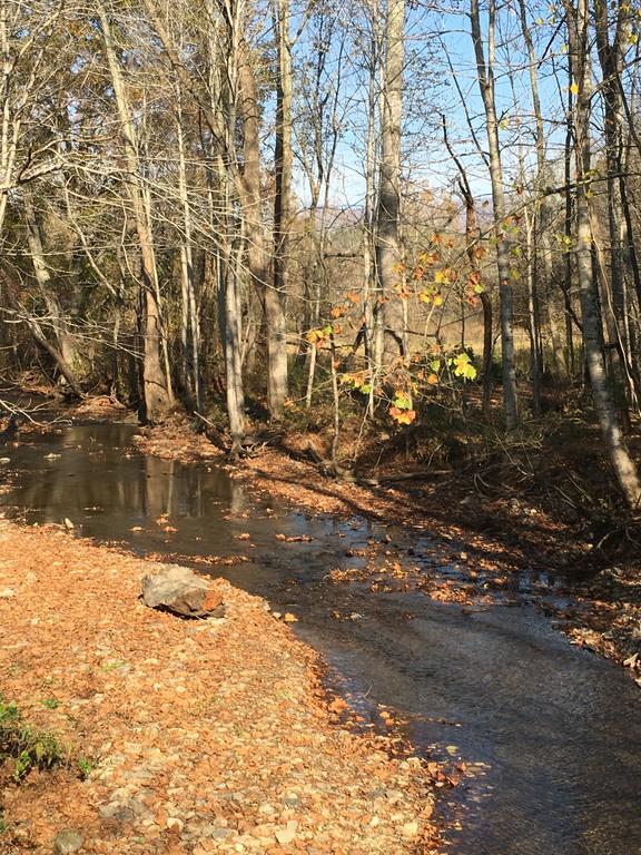 Serenity Views Bungalow - Close To City And Parkway! Villa Weaverville Exterior foto